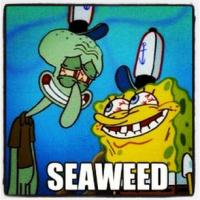 Squidward and SpongeBob classic 'Seaweed' meme moment