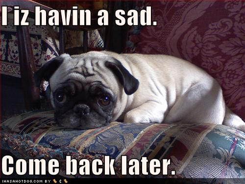 Sad pug meme - classic early 2010s forum humor
