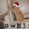 Hands-up hamster meme, classic forum-era humor