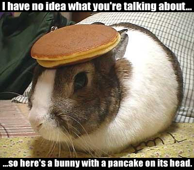 Classic bunny-with-pancake meme, forum nostalgia gold