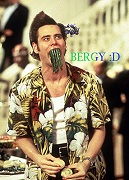 Jim Carrey Ace Ventura meme with forum tag overlay
