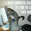 Cat demands total silence for serious work time