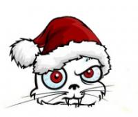 Grumpy Christmas cat avatar with santa hat