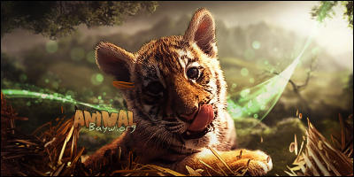 Tiger cub GFX signature with glowing forest backdrop