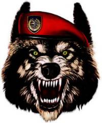 Snarling wolf in red beret — fierce forum avatar art
