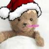 Cozy teddy bear in a festive Santa hat
