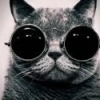 Cool cat rocking round shades in cyberpunk style