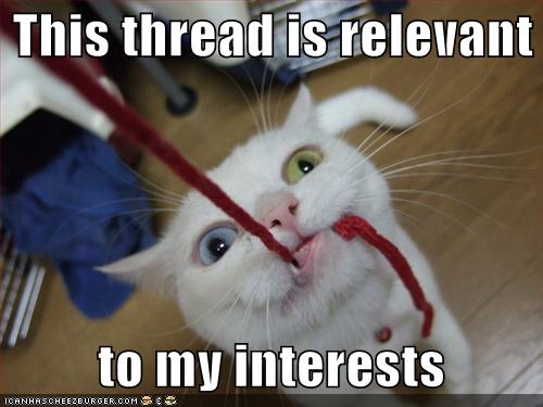 Classic derpy cat meme, forum thread relevance humor