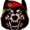 Snarling wolf avatar with red beret, old forum vibe