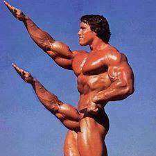 Classic bodybuilder double-bicep pose meme photo