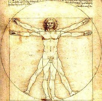 Classic Vitruvian Man sketch, timeless anatomical art