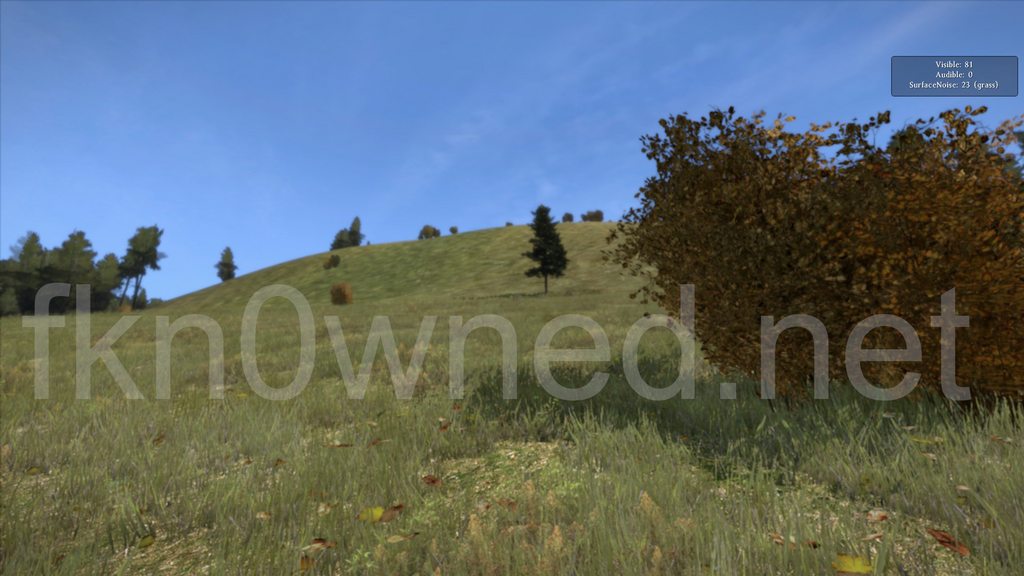 DayZ SA beta gameplay screenshot with fkn0wned.net watermark