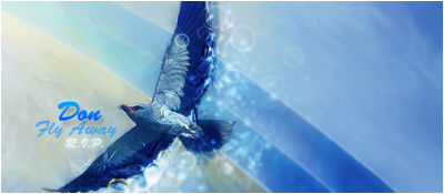 A bird soaring off into the blue beyond, R.I.P.