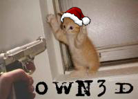 Classic gun-to-kitten meme, forum humor at its finest