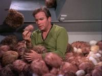 Kirk buried in tribbles, classic Star Trek meme