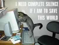 Cat guards the keyboard, demands total silence