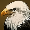 Fierce bald eagle avatar, sharp and eye-catching