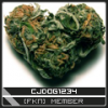 Heart-shaped bud avatar with crew tag member badge