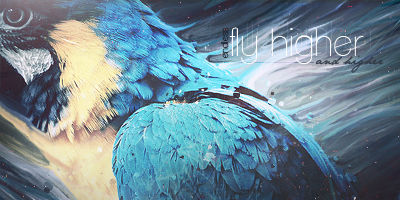 Blue macaw GFX signature soaring through misty gradients