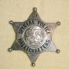 Vintage special police badge photo