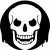 Classic skull avatar, edgy forum vibes from the hacking era