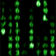 Classic Matrix-style green code cascade, hacker aesthetic