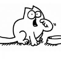 Simon's Cat, wide-eyed and begging by an empty bowl